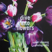 dive into flowers
